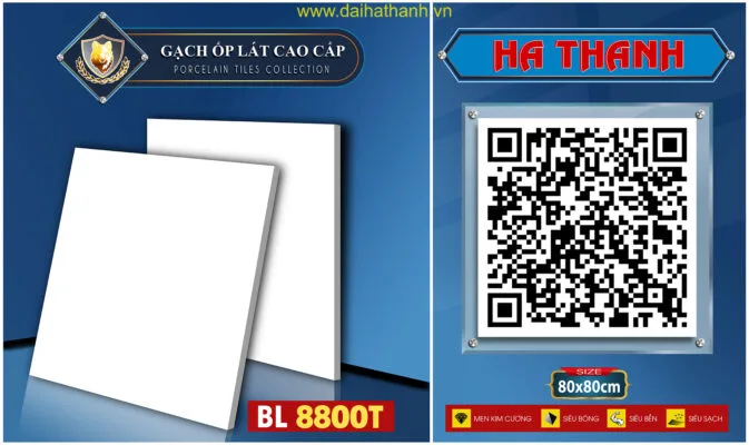 Gạch lát nền NM Rio BL8800T