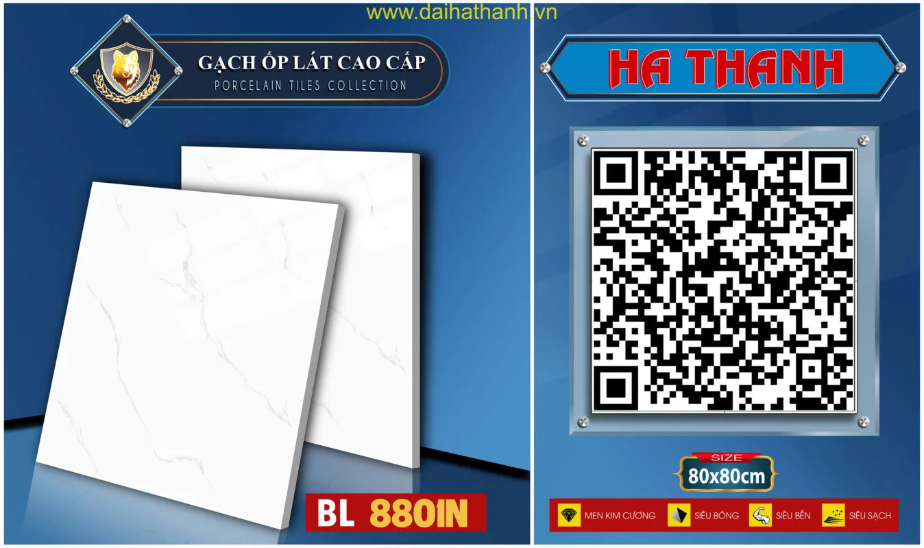 Gạch lát nền NM Rio BL8801T
