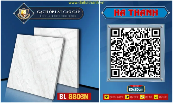 Gạch lát nền NM Rio BL8803T