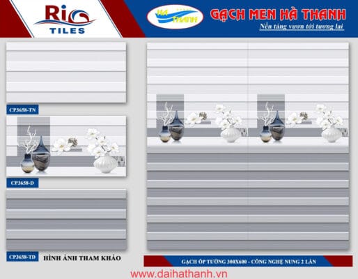 Gạch ốp tường CP3658