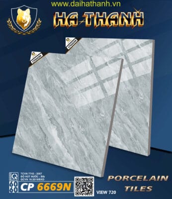 Gạch lát nền CP6659N