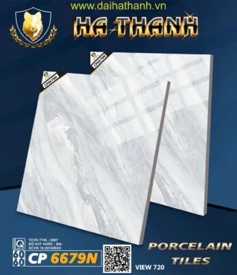 Gạch lát nền CP6669N