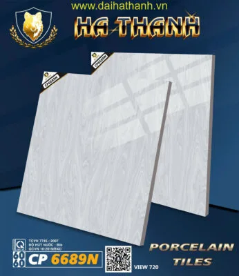 Gạch lát nền CP6689N