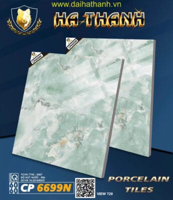 Gạch lát nền CP6699N