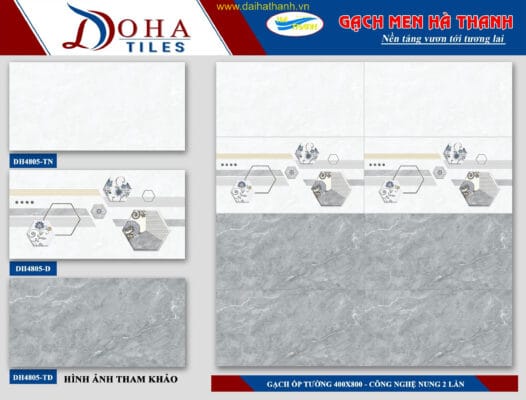 Gạch ốp tường NM Rio DH4805TD