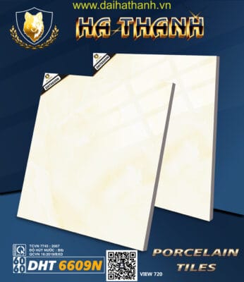 Gạch lát nền DPL DHT6609N