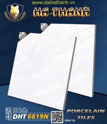Gạch lát nền DPL DHT6619N