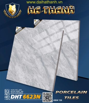 Gạch lát nền DPL DHT6623N