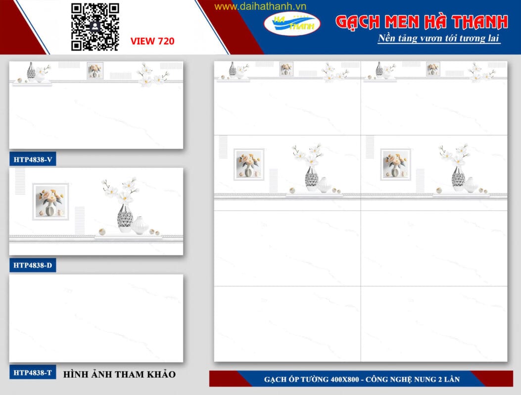 Gạch ốp tường HPT4838
