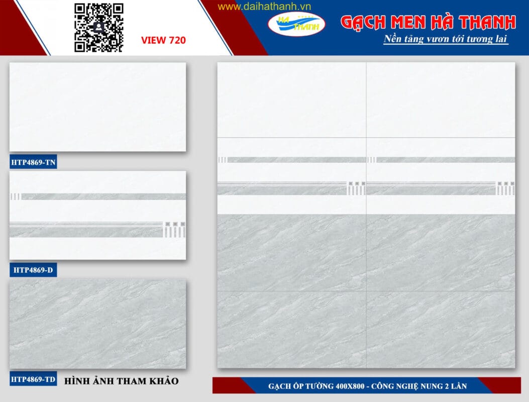 Gạch ốp tường HPT4869