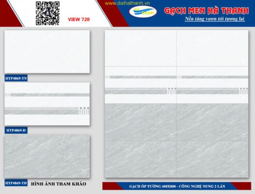 Gạch ốp tường HPT4869
