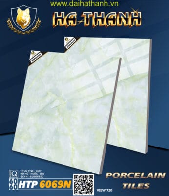 Gạch lát nền HTP6069N