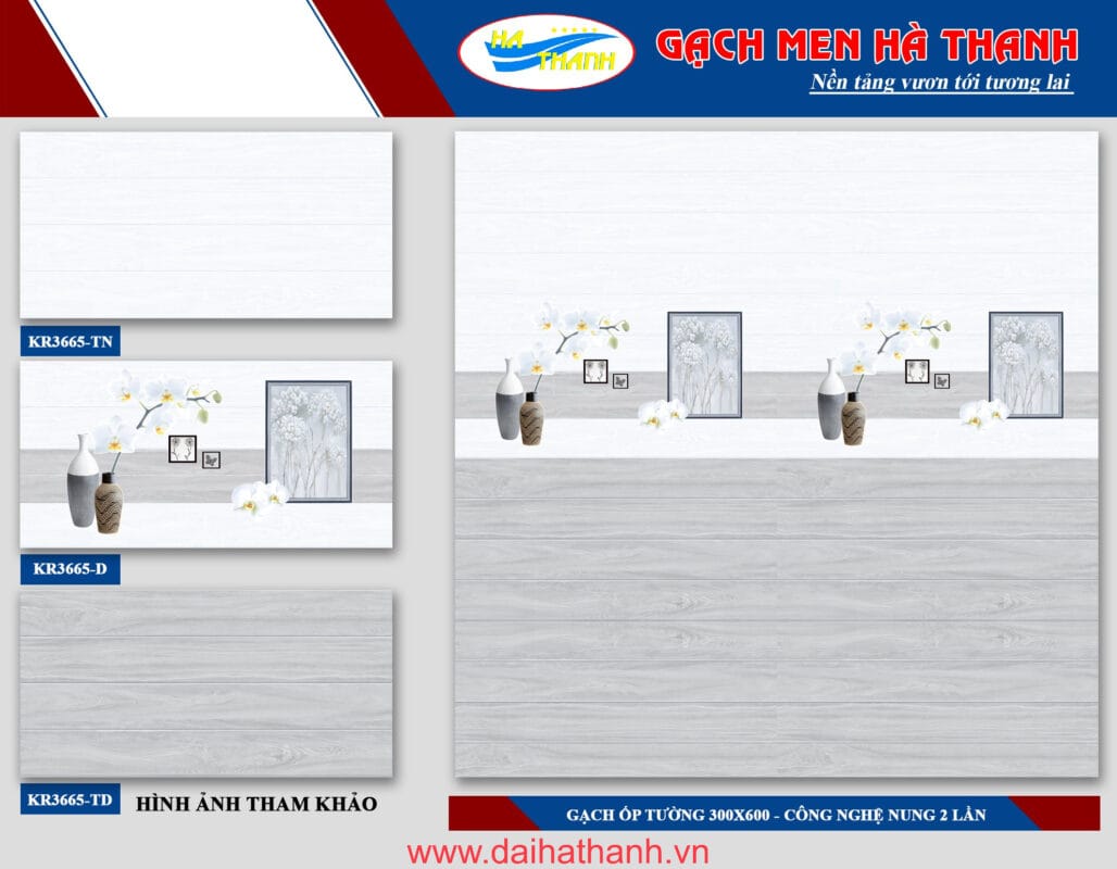 Gạch ốp tường TLP KR3665