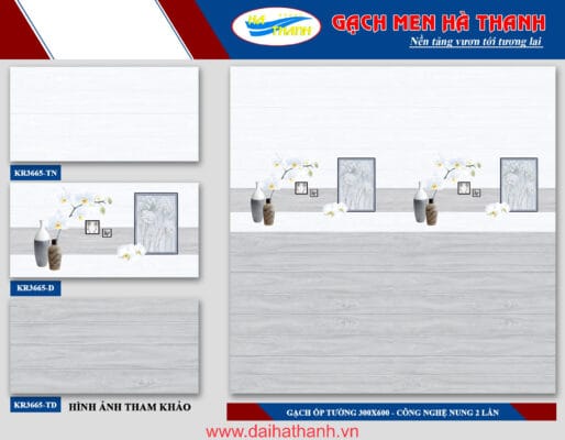 Gạch ốp tường TLP KR3665