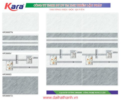 Gạch ốp tường TLP KR3666