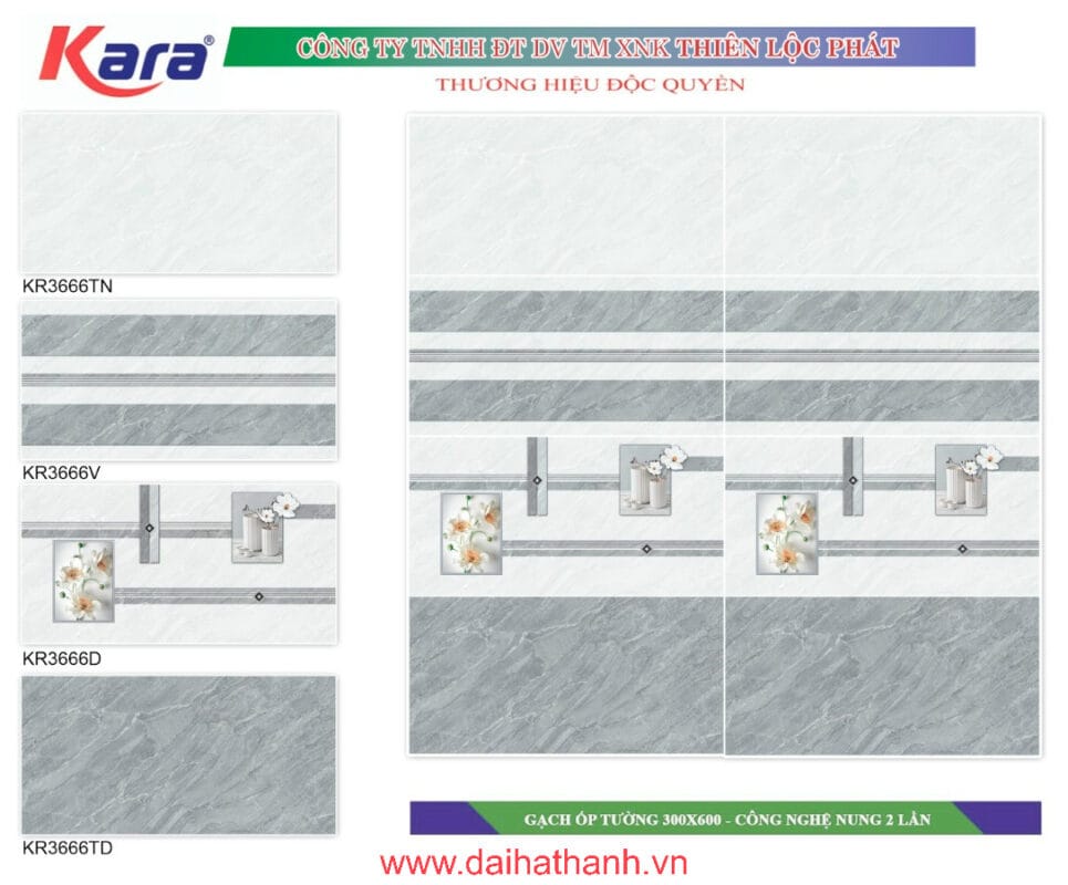 Gạch ốp tường TLP KR3666