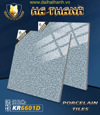 Gạch lát nền TLP KR6601D