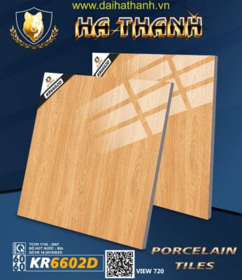 Gạch lát nền TLP KR6602D