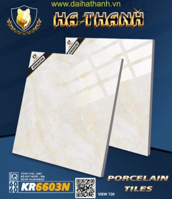 Gạch lát nền TLP KR6603N