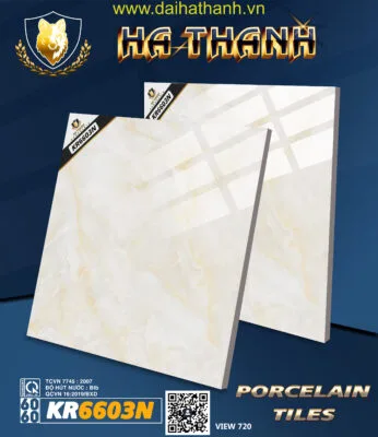 Gạch lát nền TLP KR6603N