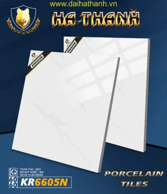 Gạch lát nền TLP KR6605N