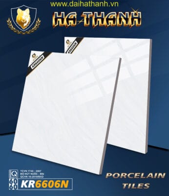 Gạch lát nền TLP KR6606N