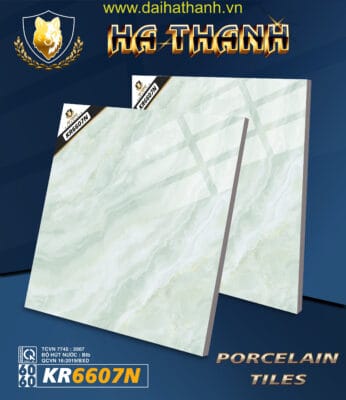 Gạch lát nền TLP KR6607N