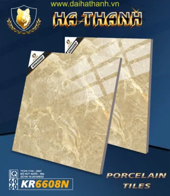 Gạch lát nền TLP KR6608N