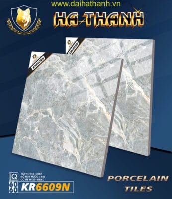 Gạch lát nền TLP KR6609N