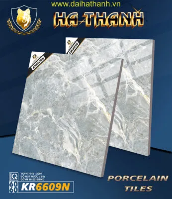 Gạch lát nền TLP KR6609N