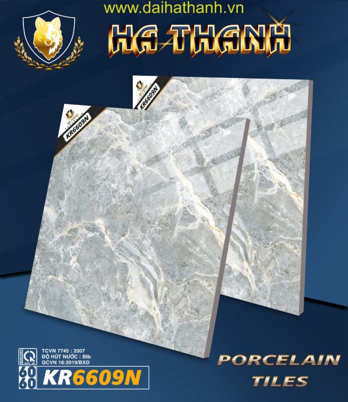 Gạch lát nền TLP KR6609N