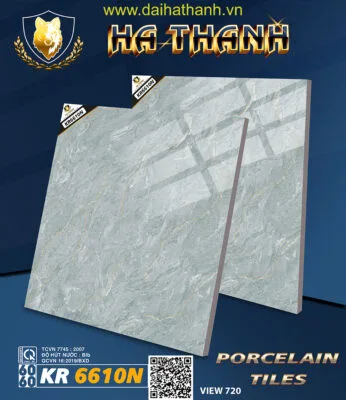 Gạch lát nền TLP KR6610N