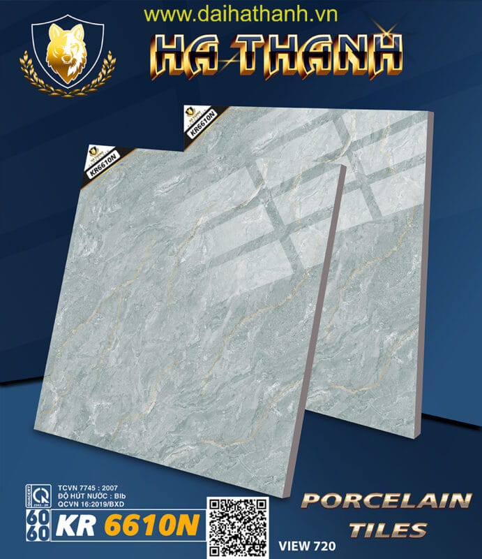 Gạch lát nền TLP KR6610N