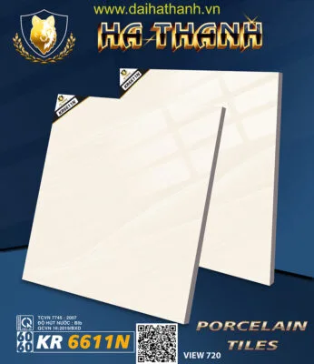 Gạch lát nền TLP KR6611N