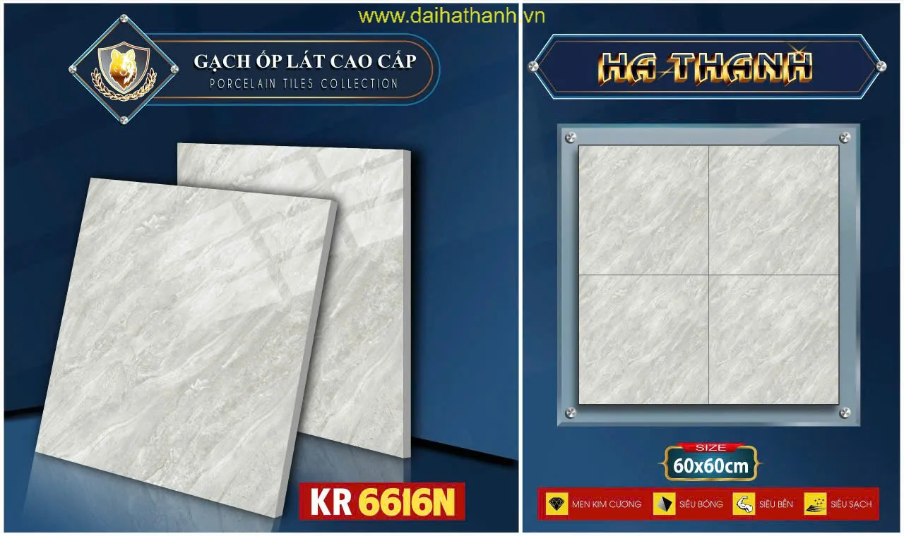 Gạch lát nền TLP KR6616N