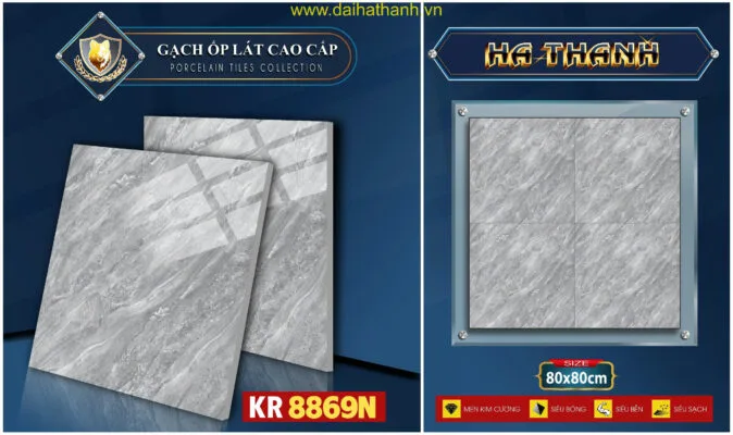 Gạch lát nền TPL KR8869N