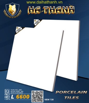 Gạch lát nền NM L6600T