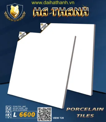 Gạch lát nền NM L6600T