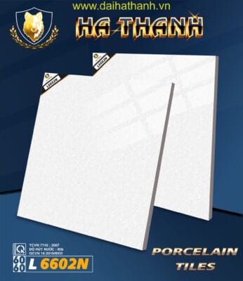 Gạch lát nền NM L6602N