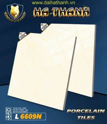 Gạch lát nền NM L6609N