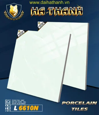 Gạch lát nền NM L6610N