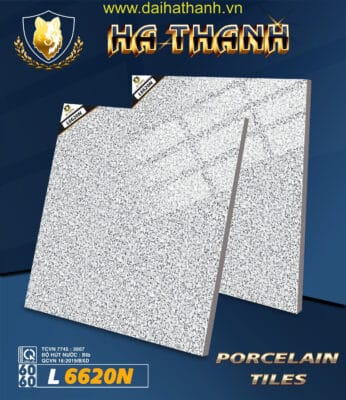 Gạch lát nền NM L6620