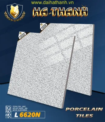 Gạch lát nền NM L6620