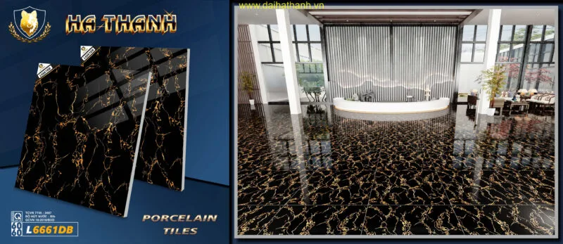 Gạch lát nền NM L6661DB