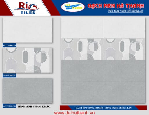 Gạch ốp tường matte TTV M-TTV3802