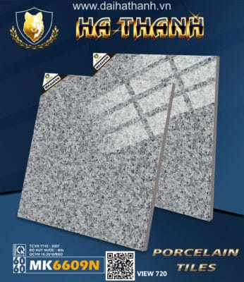 Gạch lát nền MK6609N