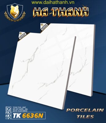 Gạch lát nền TK6636N