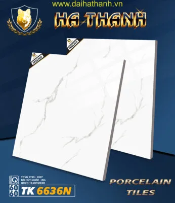 Gạch lát nền TK6636N