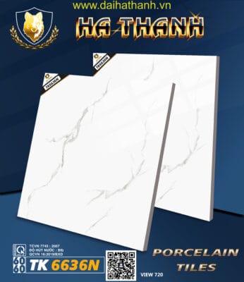 Gạch lát nền TK6636N.1