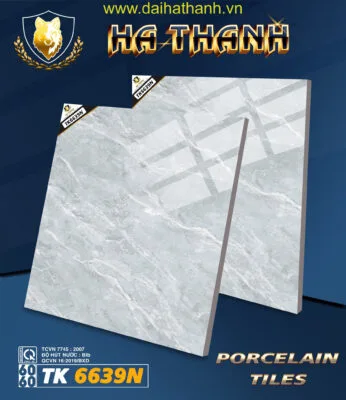 Gạch lát nền TK6639N